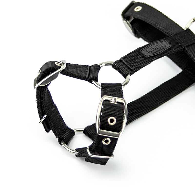 staffy-dog-harness-5.jpg