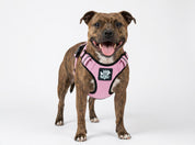 Dog Harness - Active X Pink