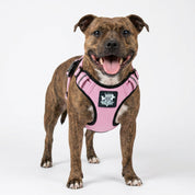 Active-X Lightweight Dog Harness – Pink Clearance