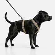 SUPATUFF® Strong Dog Harness Desert Wolf (Slim Fit)