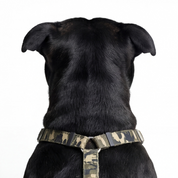 SUPATUFF® Dog Harness Camo (Slim Fit)