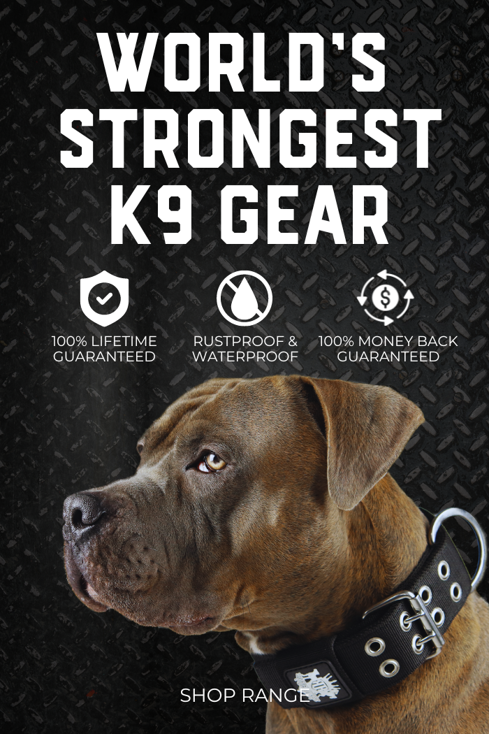 K9 unit collar hotsell