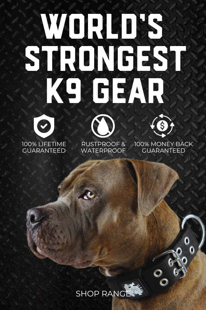 Lifetime guarantee dog collar online