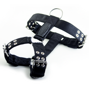 strong-dog-harnesses