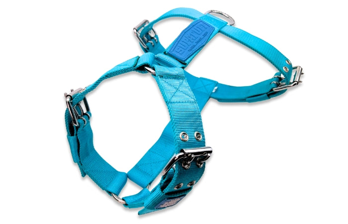 supatuff-reg-fit-harness-turqouise