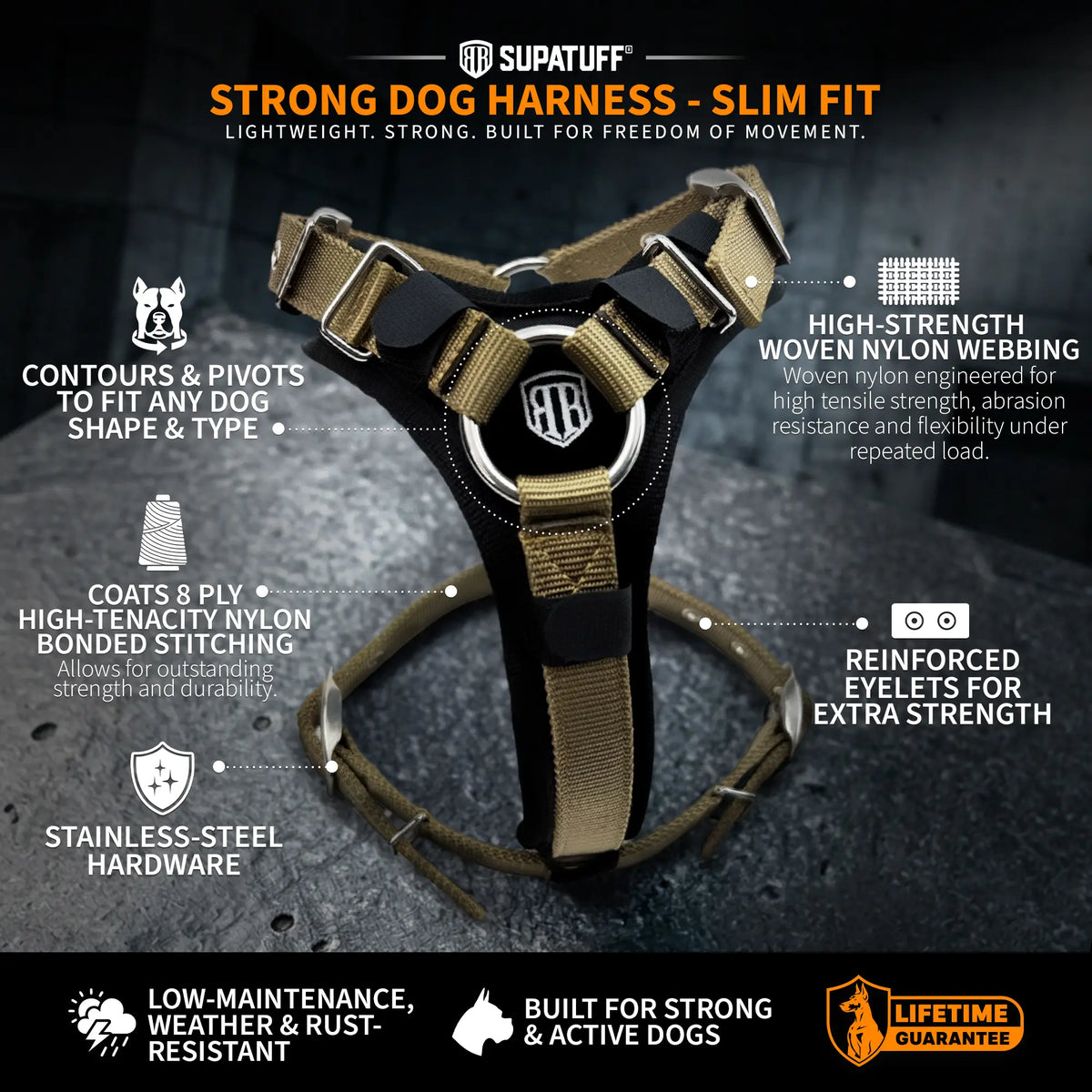 1. Measure Your Dog’s Girth