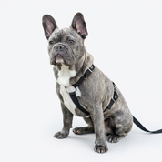 SUPATUFF® Strong Dog Harness Black (Slim Fit)