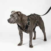 SUPATUFF® Strong Dog Harness Black (Slim Fit)