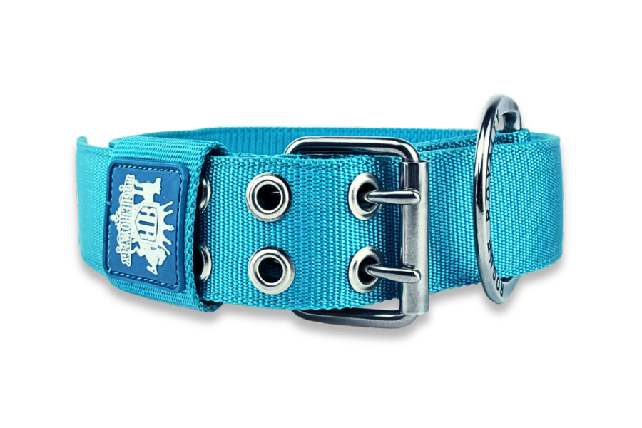 turquoise-dog-collars