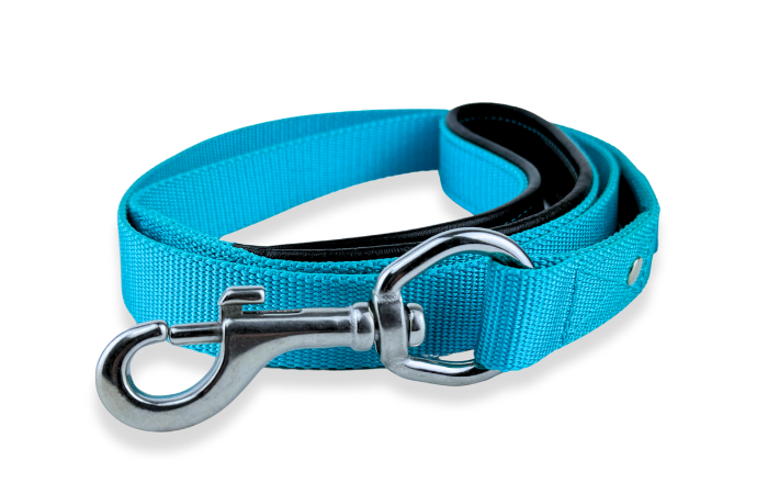 turquoise-standard-dog-leash