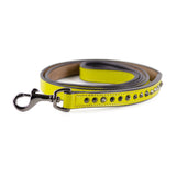 Leather Dog Leash - Ruthless Yellow & Black Slim
