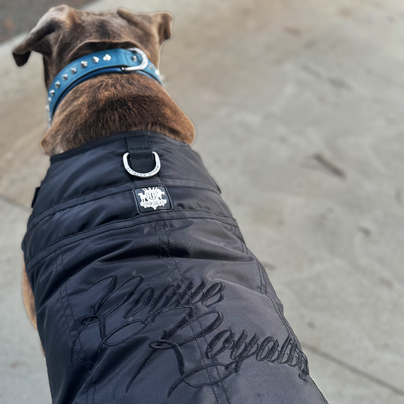 Rogue Active Dog Jacket - 'BLACK'