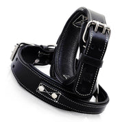 Professional strong dog training handle collar