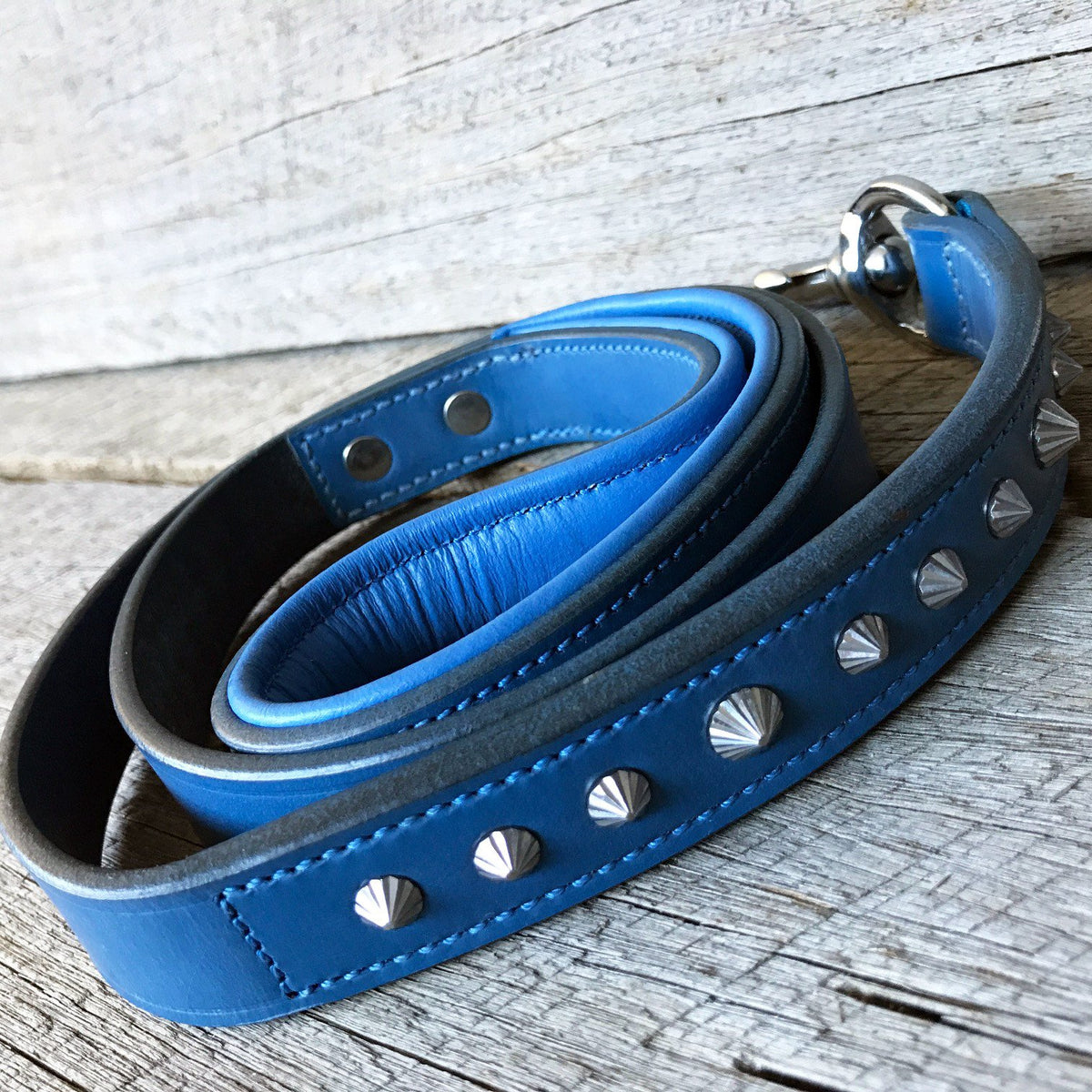 Top view of the Imperial blue handmade leather leash. Stainless steel hand carved studs and fittings. 10 year guarantee!