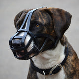 Dog Muzzle - Leather Basket
