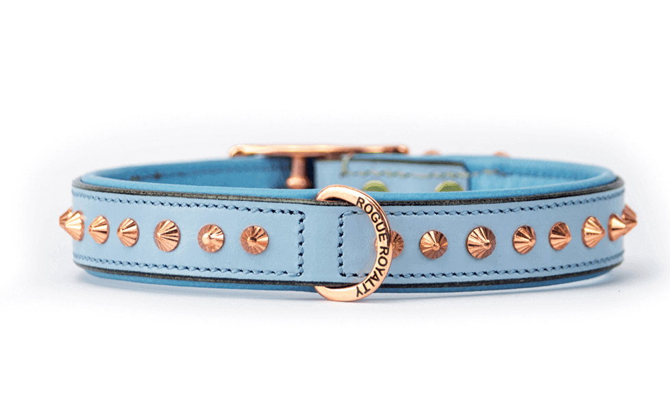 Baby blue leather dog collar for dog walking in style