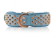 Australia's finest Handmade Leather Dog Collar – Front view of baby blue leather dog collar with rose gold fittings by Rogue Royalty