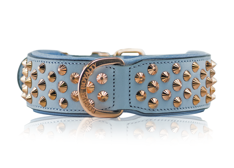 Australia&#39;s finest Handmade Leather Dog Collar – Front view of baby blue leather dog collar with rose gold fittings by Rogue Royalty