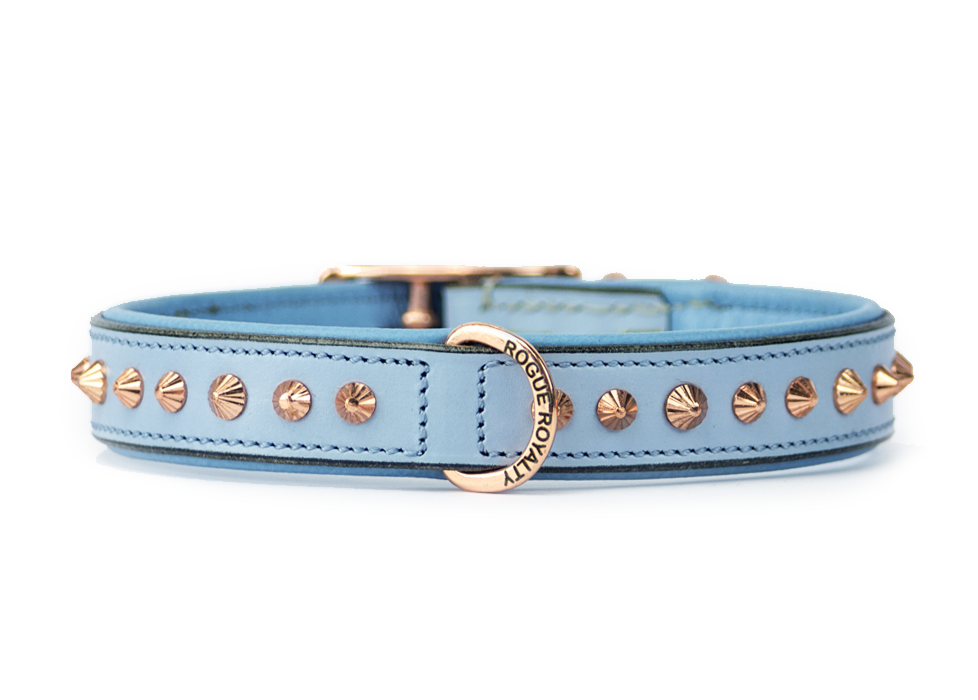 stylish leather dog collar in baby blue and rose gold