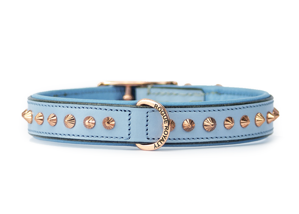 Blue spiked dog collar hot sale