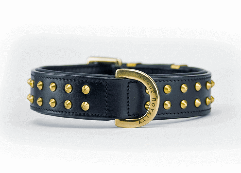 handmade Black leather dog collar with Brass studs