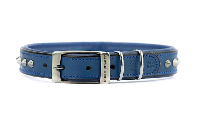 Slimfit Dog Collar in blue