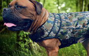 camo-dog-jacket-lrge