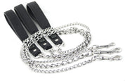 Buy Chain Dog Leash Online