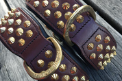 dark brown leather dog collar