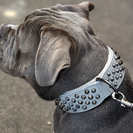 Hand Made Leather Dog Collar - Ruthless Grey &amp; Black (Wide Fit)