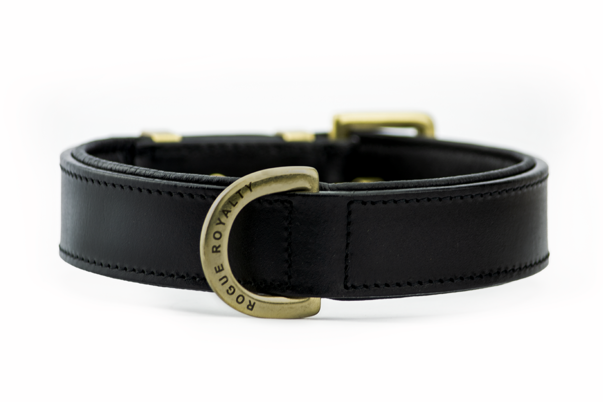Front view of handmade black leather dog collar with brass fittings made by Rogue Royalty.
