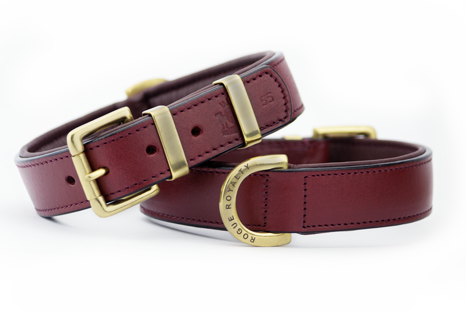 classic regular fit leather dog collar showing brass buckles