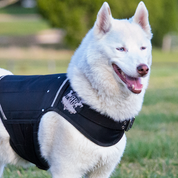 husky weight vests