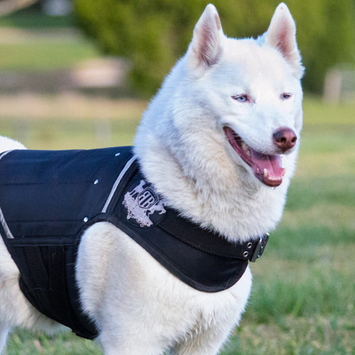 husky weight vests