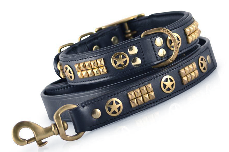 leather brass dog collar
