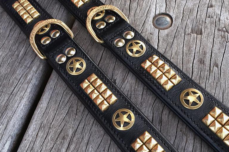 leather brass dog collars