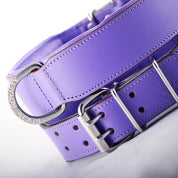 leather-dog-collar-purple