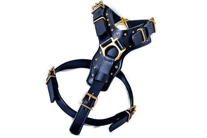 Leather Dog Harness -&quot;Attila&quot; Black/Brass + FREE Leather Balm!