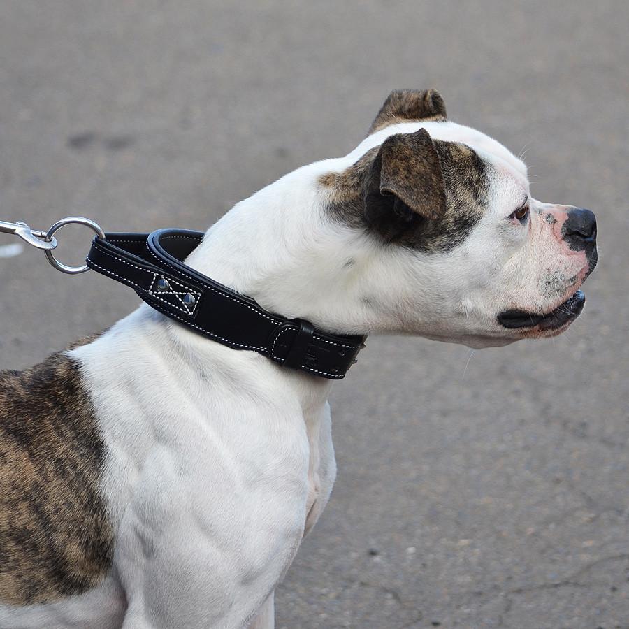 Professional strong dog training handle collar