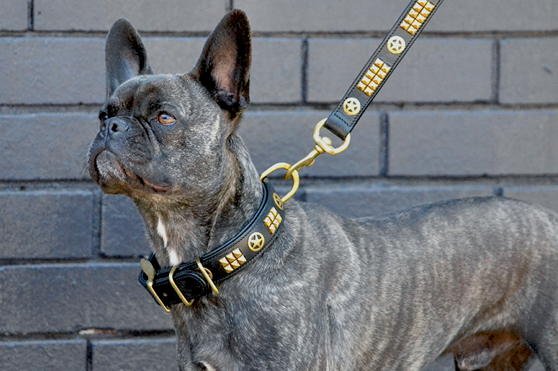 leather staffy dog collars