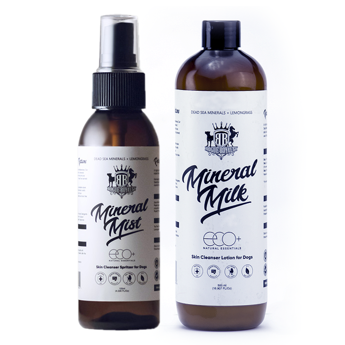 Dead Sea Mineral skin cleanse and Mineral Spritzer for stubborn and severe skin ailments. Recommended for   Hot spots Bites Yeasty skin General skin issues