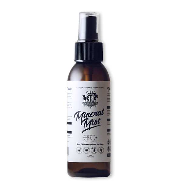 Buy Skin Spritzer Of Mineral Mist Online