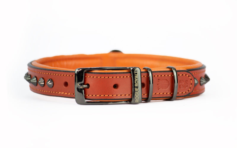 Hand made Orange studded leather dog collar