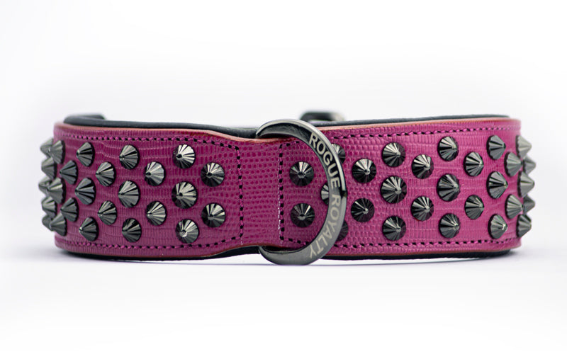 front view pink black dog collar