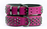 pink black dog collars