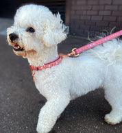pink-crystal-dog-collars