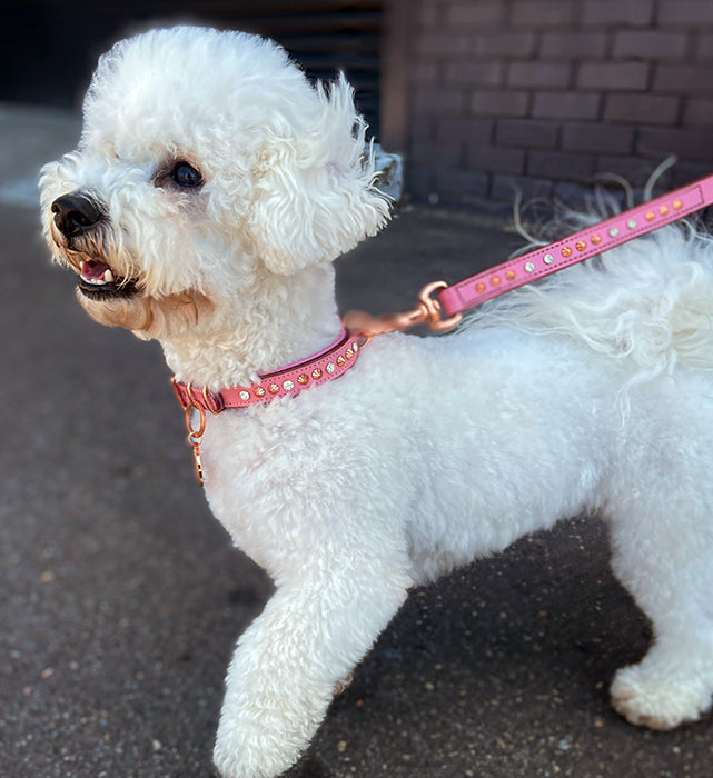 pink-crystal-dog-collars