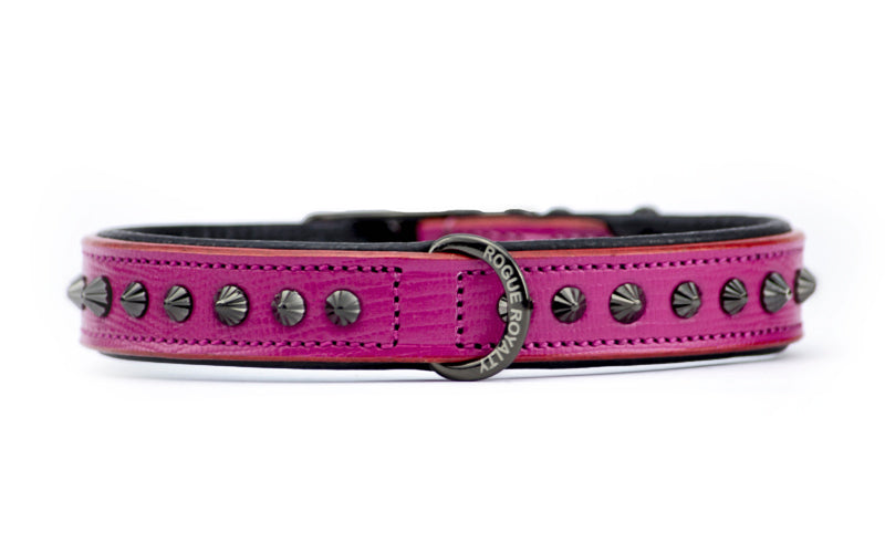 studded hot pink leather dog collar and black studs