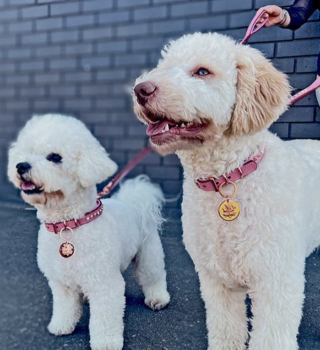 pink-leather-dog-collars