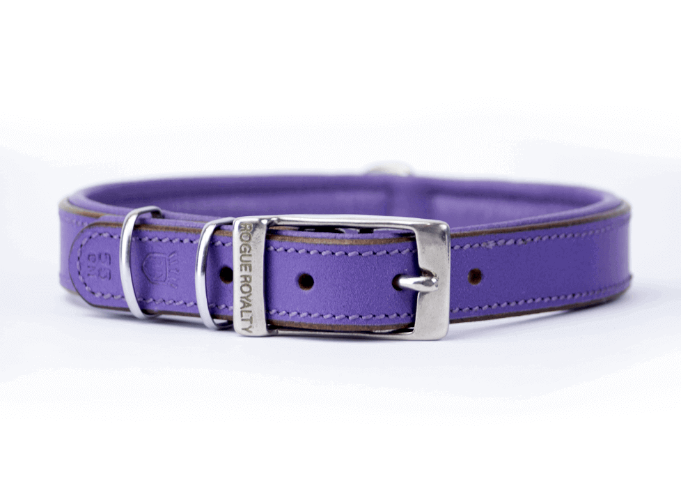 Purple Leather Dog Collar